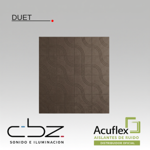 Placa Duet